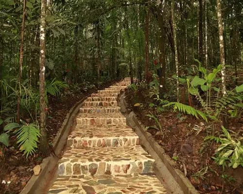 Eco Hotel Río de Oro en San Rafael, Antioquia: foto 2